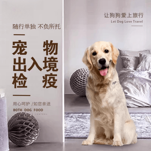 无锡市宠物托运到哥伦比亚猫狗宠物入境规定和