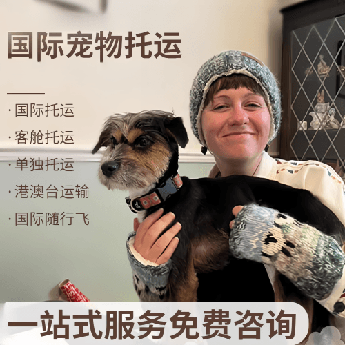 无锡市国际宠物托运到阿根廷宠物入境规定和要
