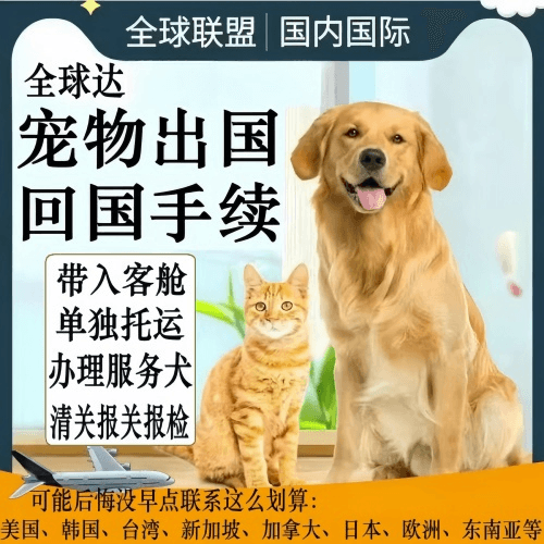 无锡市宠物托运到柬埔寨宠物入境规定和要求