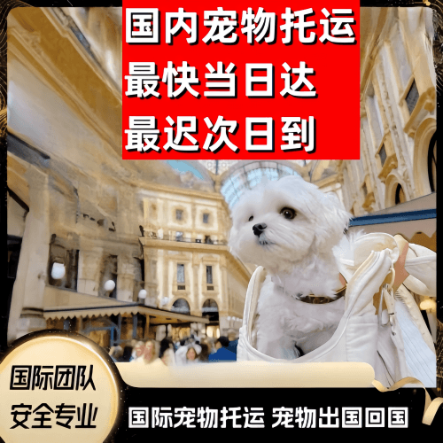 无锡市到澳大利亚（澳洲）宠物入境规定和要求