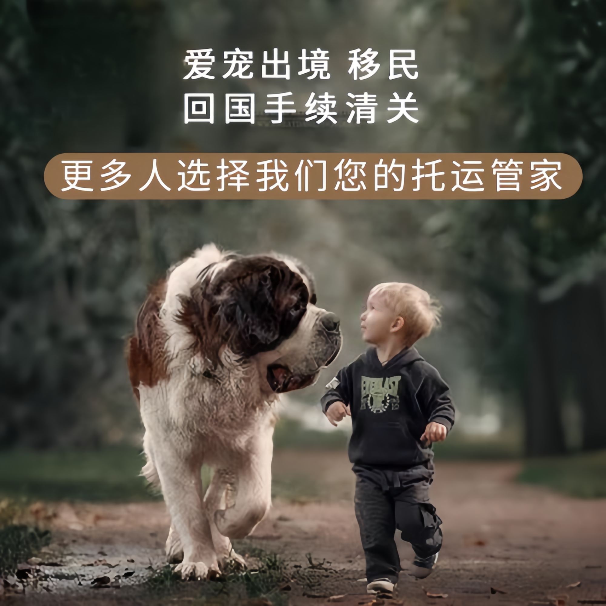 满财无锡市宠物全球达宠物托运在遵守入境目的地政策的条件